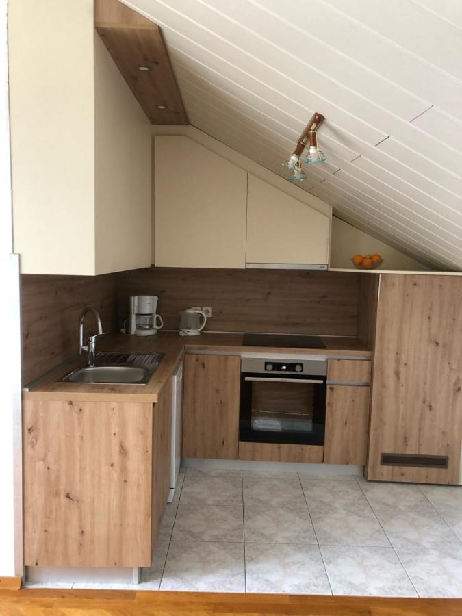 נובי ווינודולסקי Apartment Bojana מראה חיצוני תמונה