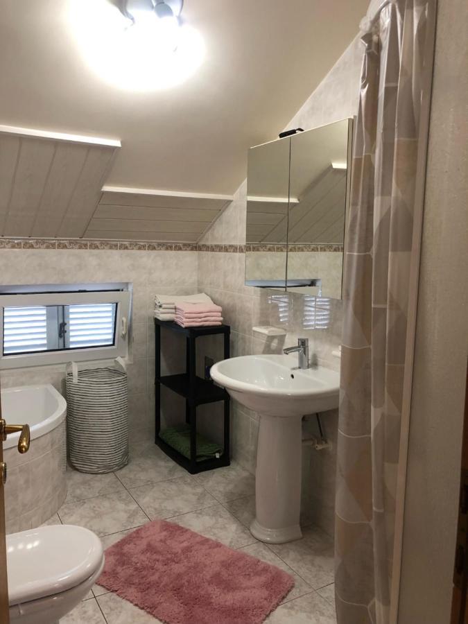 נובי ווינודולסקי Apartment Bojana מראה חיצוני תמונה