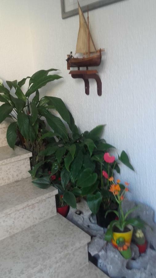נובי ווינודולסקי Apartment Bojana מראה חיצוני תמונה