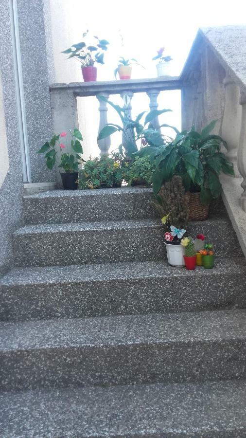 נובי ווינודולסקי Apartment Bojana מראה חיצוני תמונה