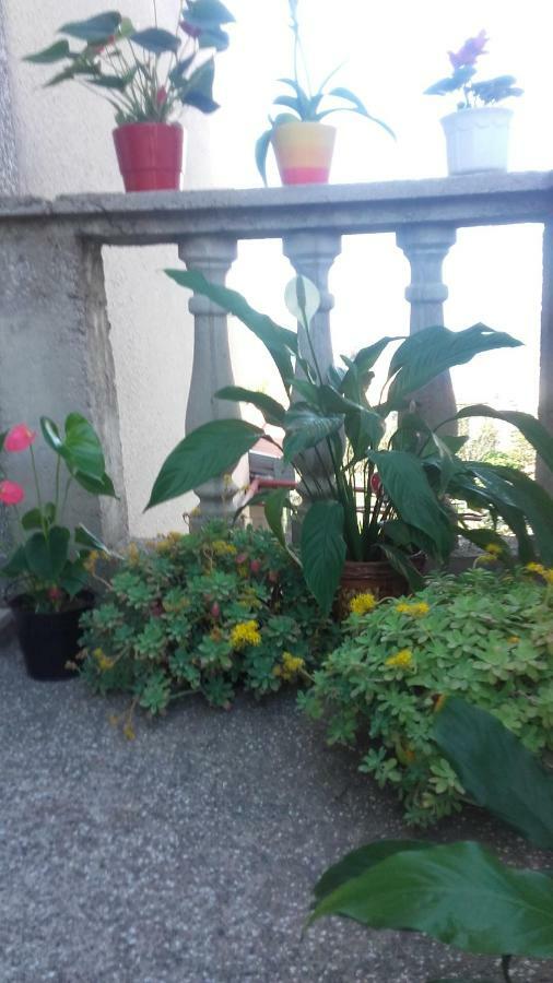 נובי ווינודולסקי Apartment Bojana מראה חיצוני תמונה