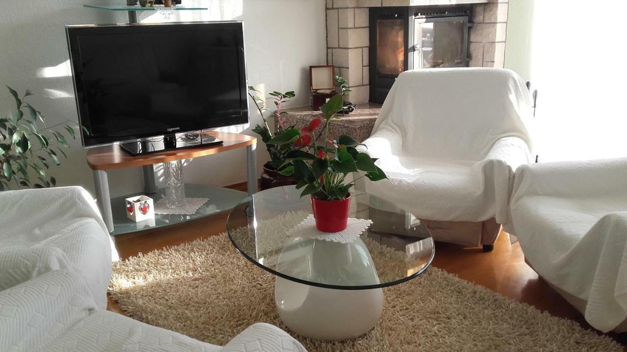 נובי ווינודולסקי Apartment Bojana מראה חיצוני תמונה